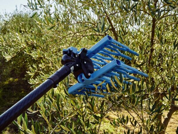 ABBACCHIATORE OLIVE TUONO EVO - immagine 2